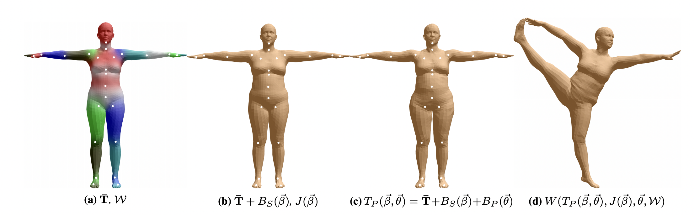 Template mesh. It is segmented into 33 parts, and here posed in the T